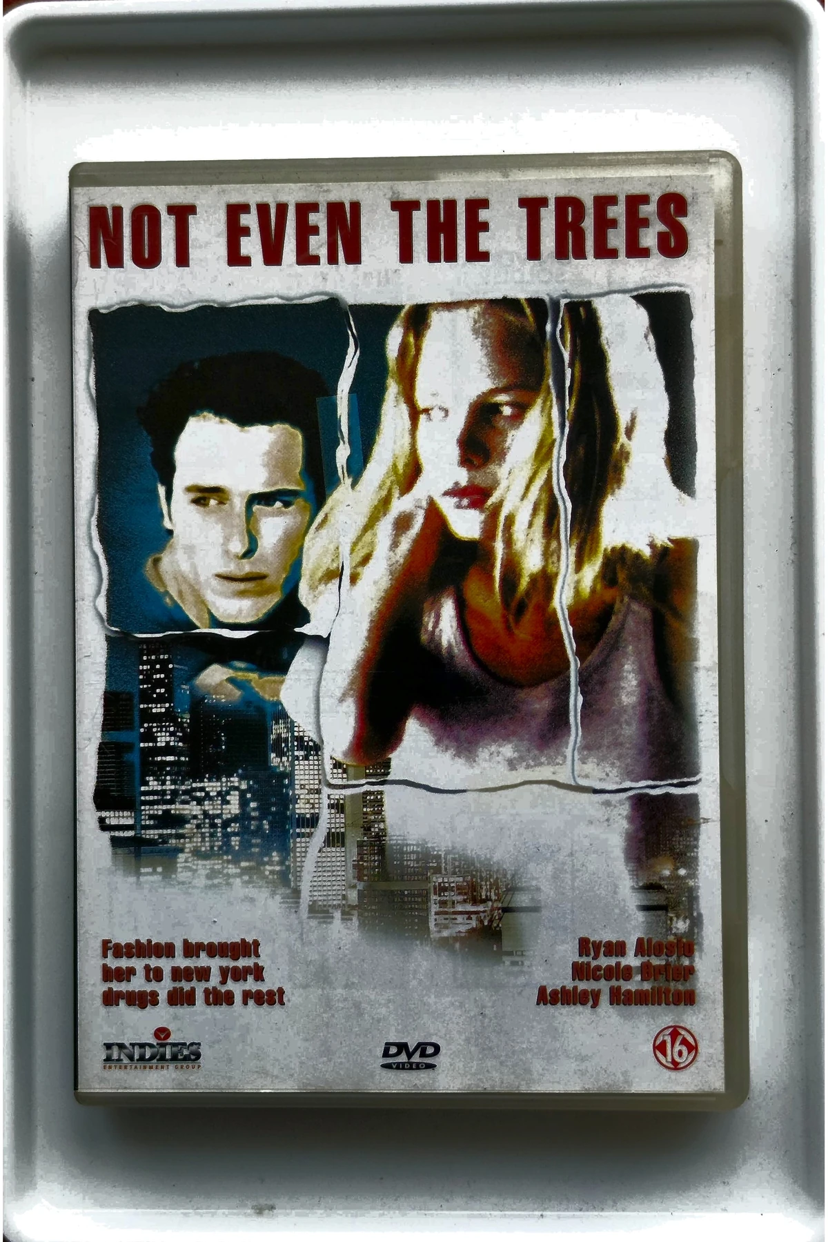 Not Even the Trees - Voorkant