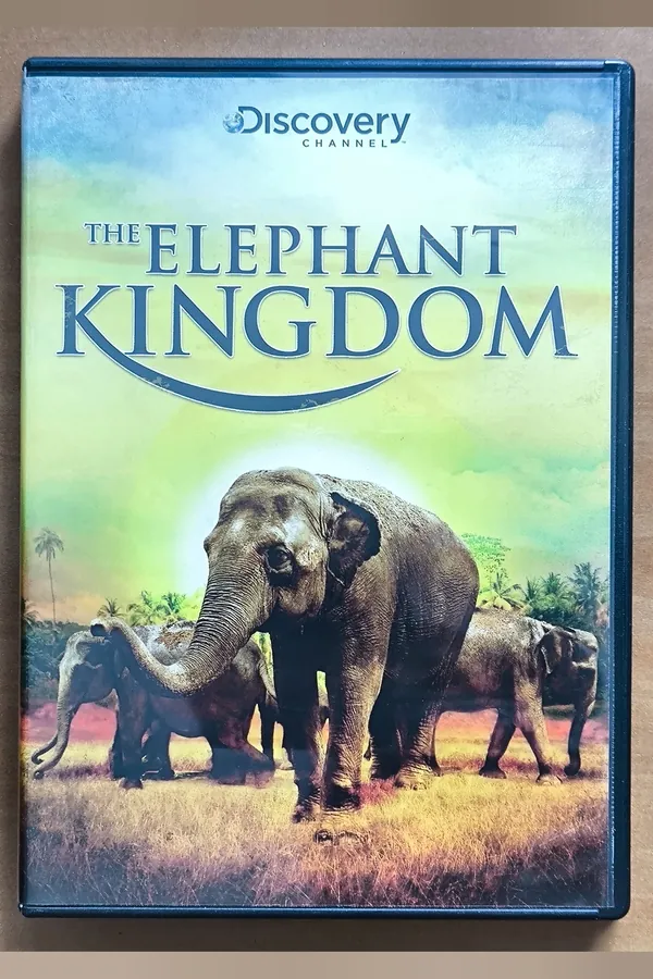 Elephant Kingdom – voorkant