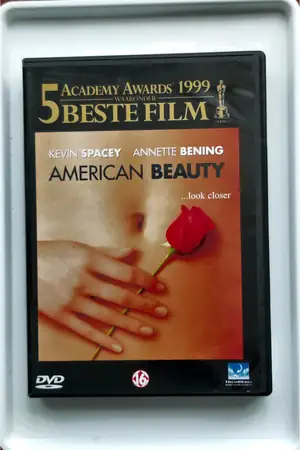 American Beauty