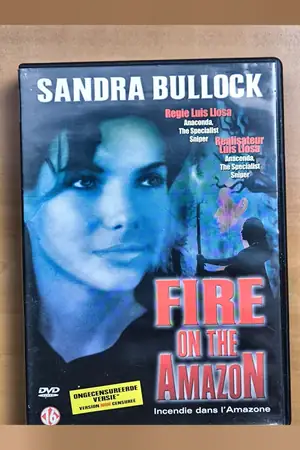 Fire on the Amazon